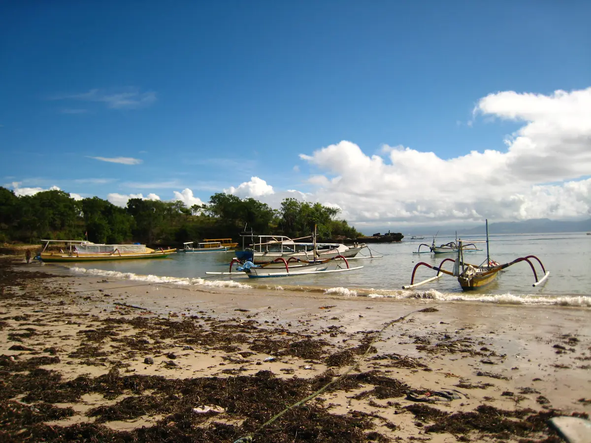 Traditional jukung outrigger boats resting in the shallows of a Nusa Lembongan beach