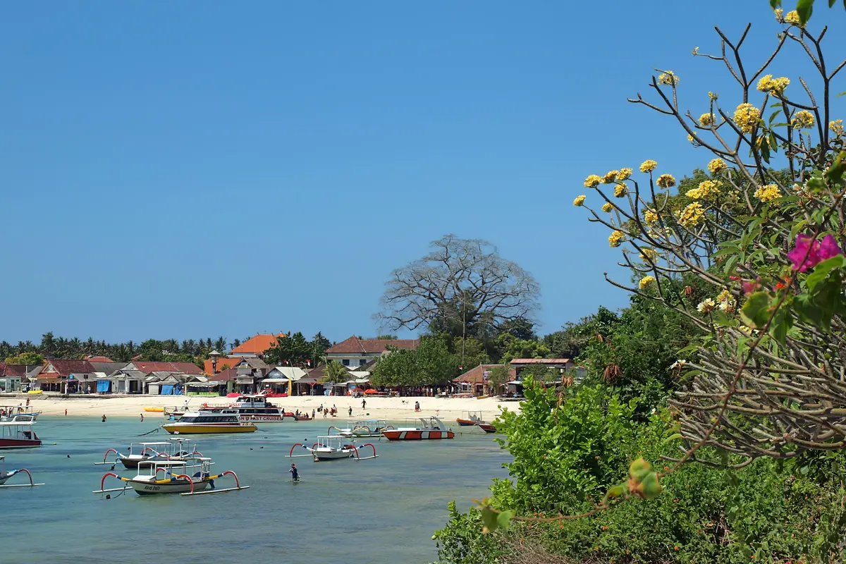Boats anchored in the shallow bay below a village on Nusa Lembongan, flowers in the foreground