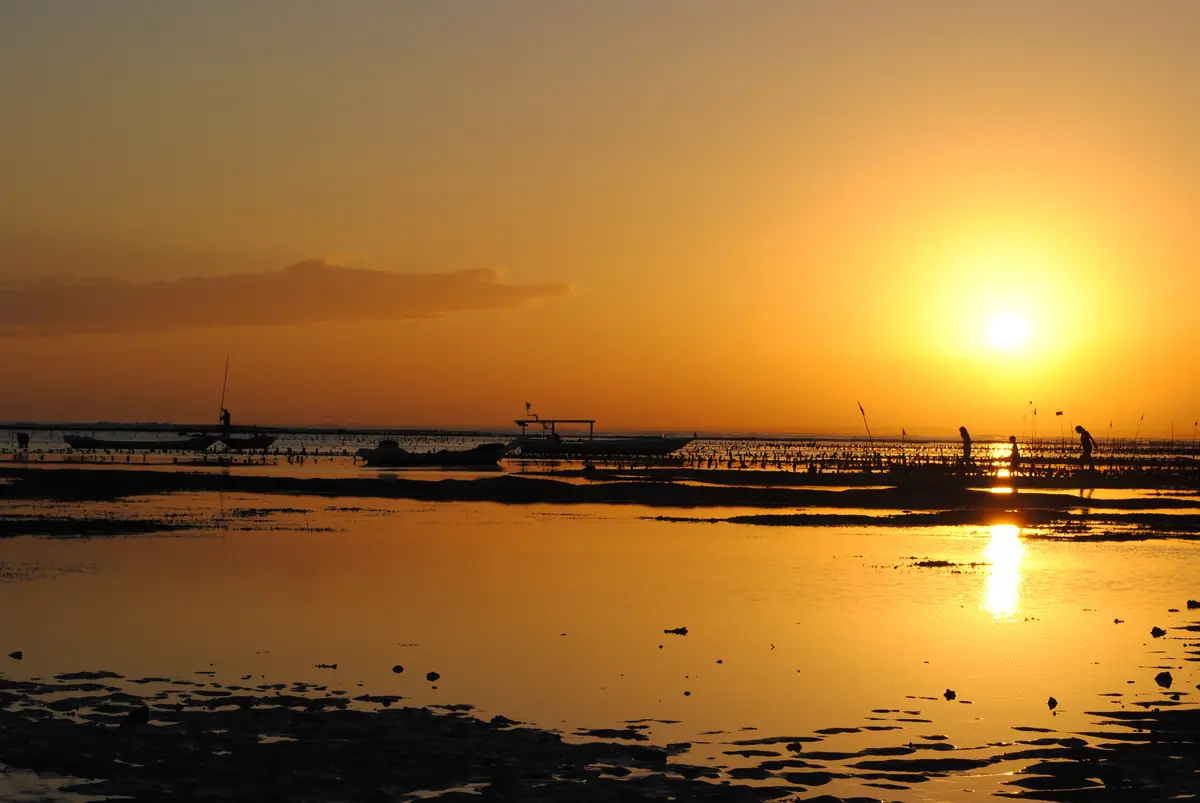 The sun setting over glassy, golden water off Nusa Lembongan
